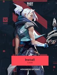 Valorant Installer